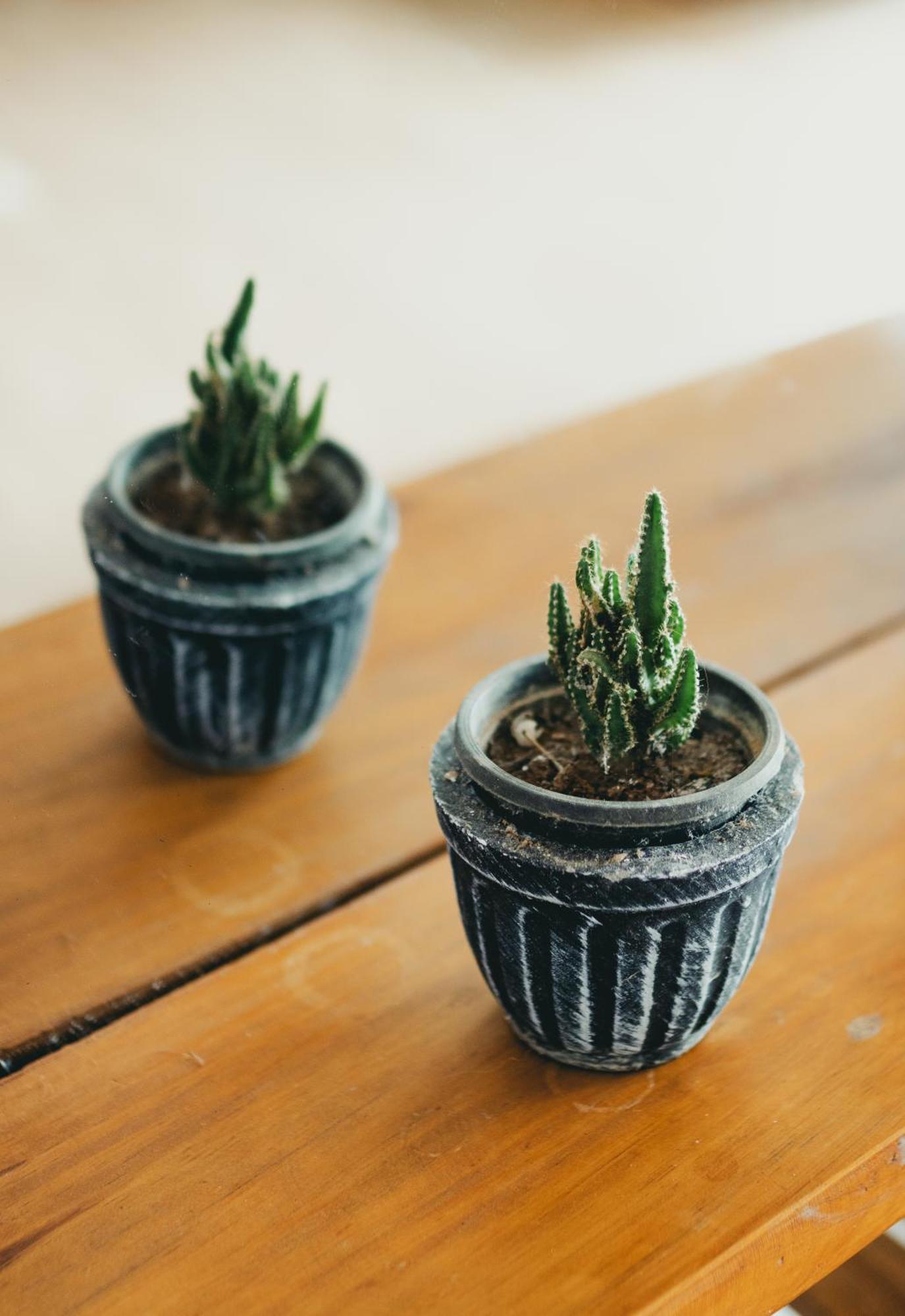 Inspira Ella Hotel Ngoại thất bức ảnh